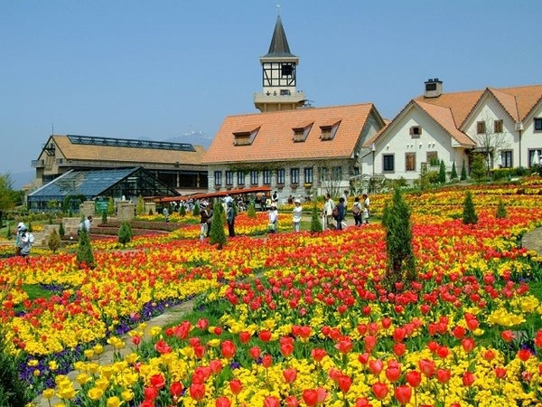 ■<東京駅発>【山梨】春の花咲くハイジの村と大人気!桔梗信玄餅詰め放題!スイス&甲州郷土料理ランチビュッフェといちご狩り園内食べ放題♪1